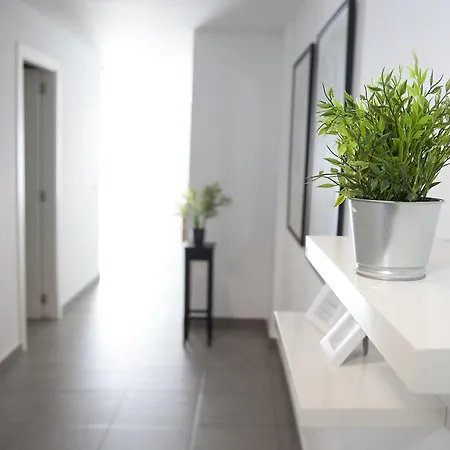 Flats Friends Tetuan * فالنسيا